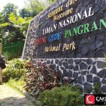 Jalur Pendakian Gede Pangrango Dibuka Lagi, Ayo Nikmati Alam!