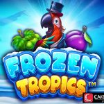 Frozen Tropics Hadir di Slot Rtp Tinggi Beku Tapi Nendang!