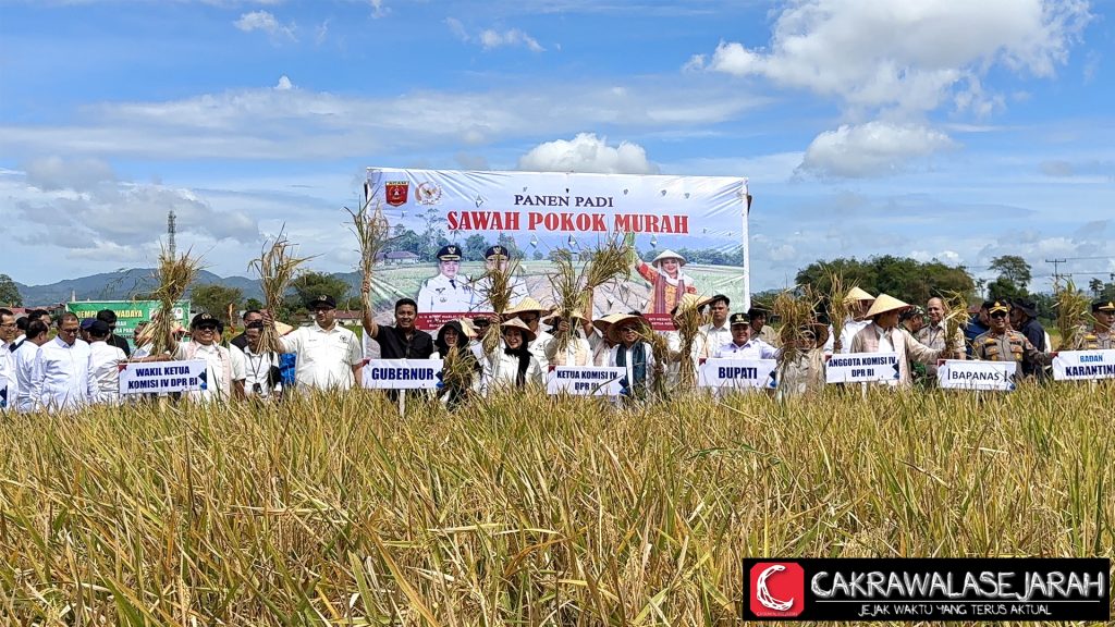 Cek Benih Padi Bapanas dan Komisi IV untuk Pangan Mandiri