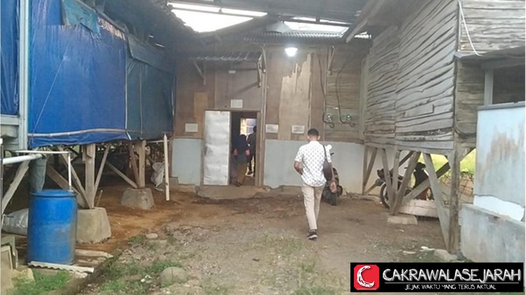 Ibu dan Anak Kabur ke Kandang Ayam Usai Jadi Korban Kekejian