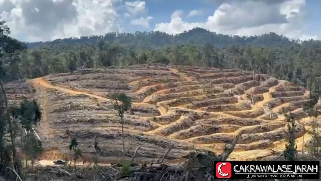 Perambahan Liar Habisi Siabu, Hutan Lindung Riau Menangis!