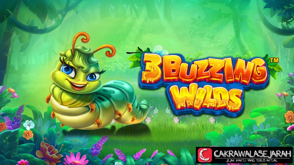 Link CNNslot 3 Buzzing Wild Spot Gacor Tanpa Basa-basi