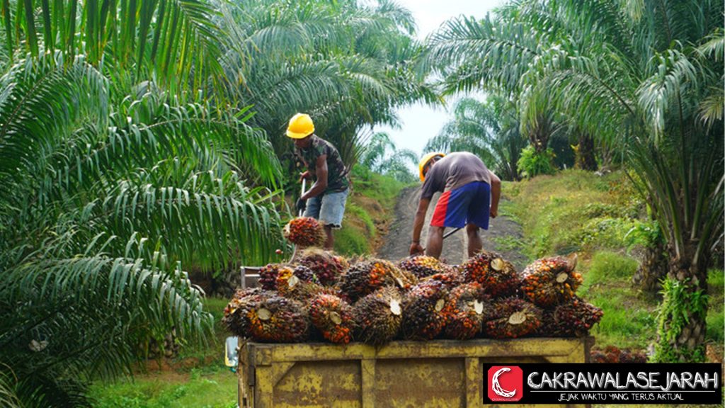 Kejagung Alihkan Pride Sawit 674 Ribu Ha ke PT Agrinas