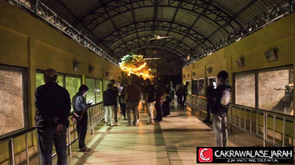 Ragunan Malam Diserbu 3.635 Warga, Big Antusias!
