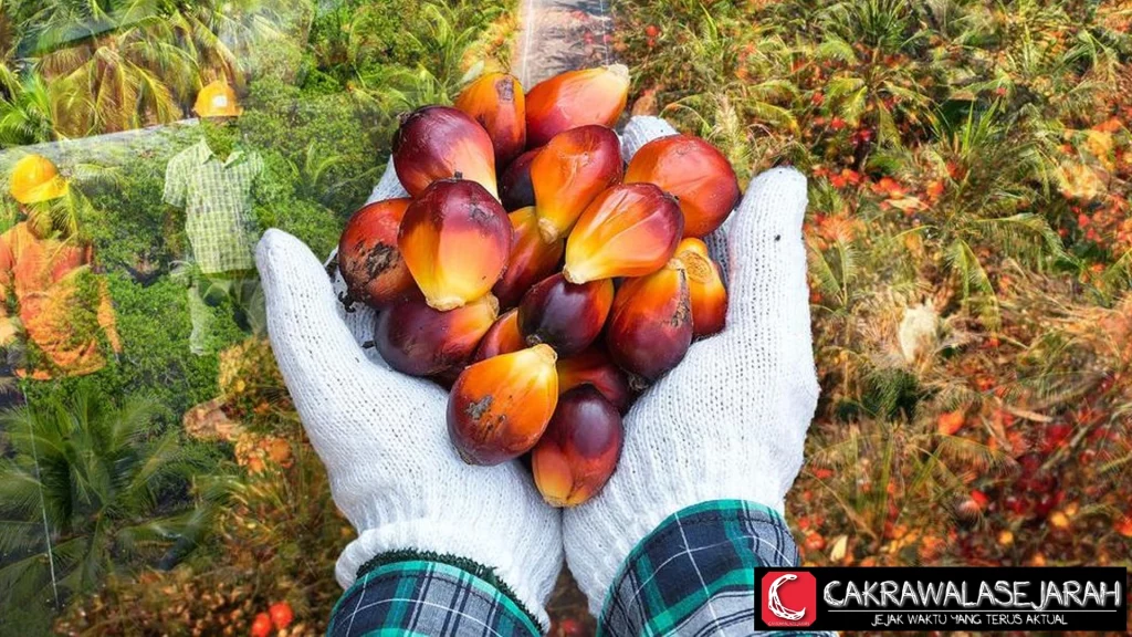 Saham Sawit: Koleksi Sekarang, Untung Kemudian?