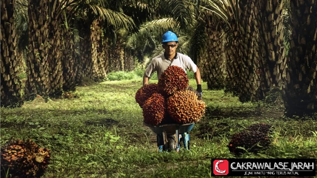 Saham Sawit: Koleksi Sekarang, Untung Kemudian?