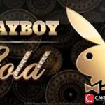Playboy Gold Sering Keluar No Debat