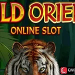 Wild Orient Asli Keren Bongkar Tuntas Jos