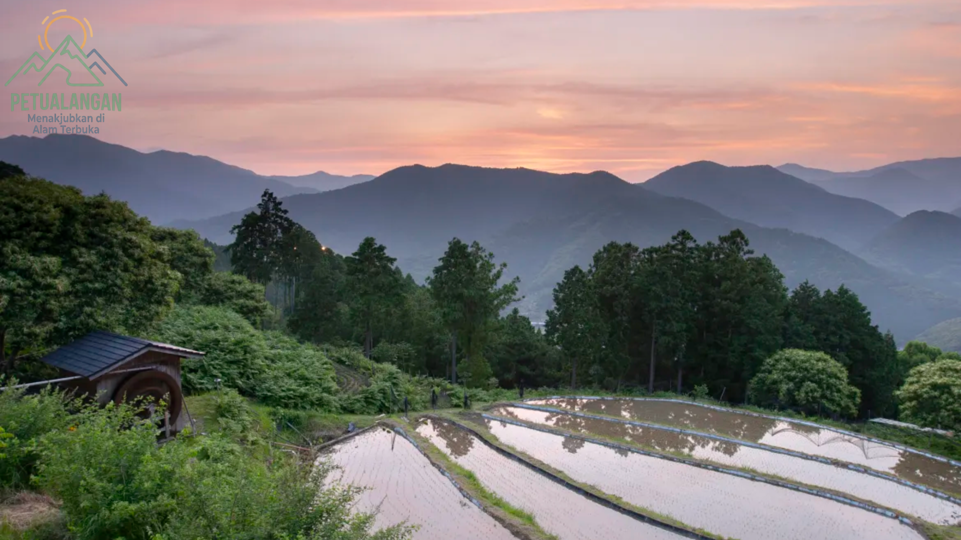 Wisata alam Jepang melalui jalur hutan Kumano Kodo